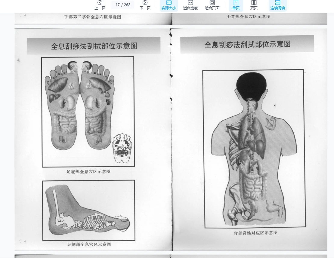 图片[4]_《全息经络刮痧法》PDF电子书_易经玄学资料网