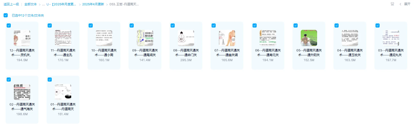 图片[1]_王哲-丹道周天通关术（视频12集）_易经玄学资料网