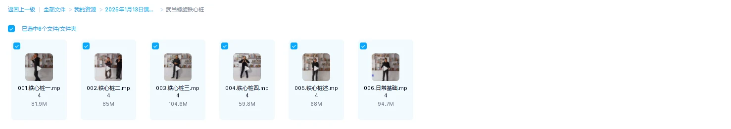 图片[1]_武当螺旋铁心桩（视频6集）_易经玄学资料网