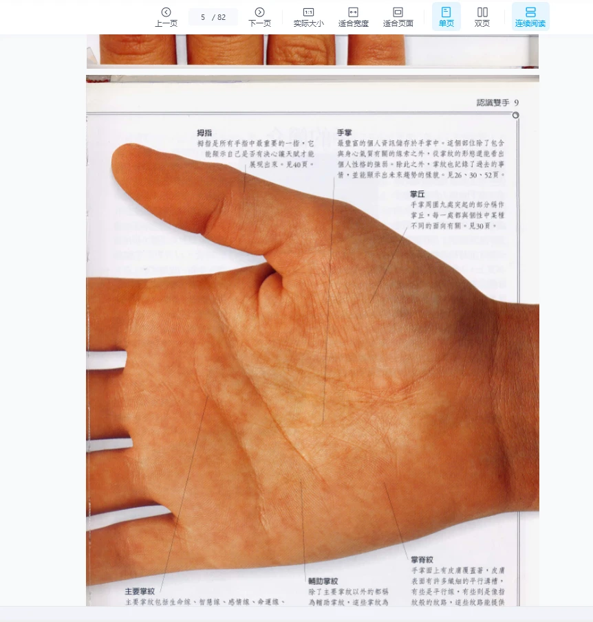 图片[5]_《手相》全彩图PDF（82页）_易经玄学资料网