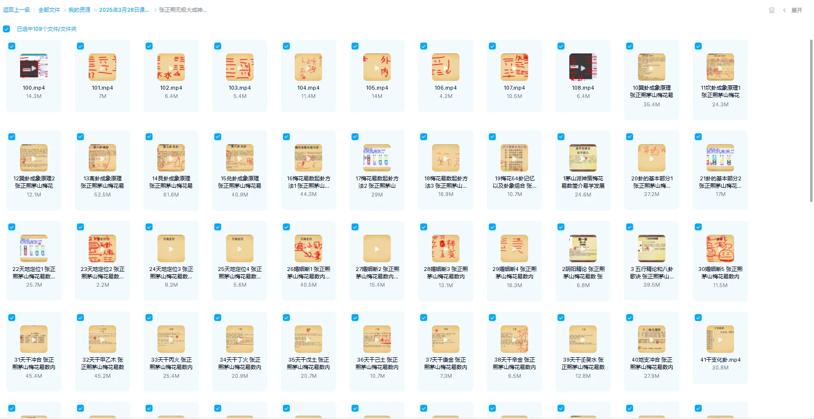 图片[1]_张正熙-无极大成神策梅花易数（视频108集）_易经玄学资料网