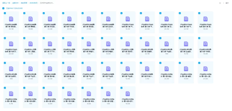 王庆泽《气血养生》_易经玄学资料网