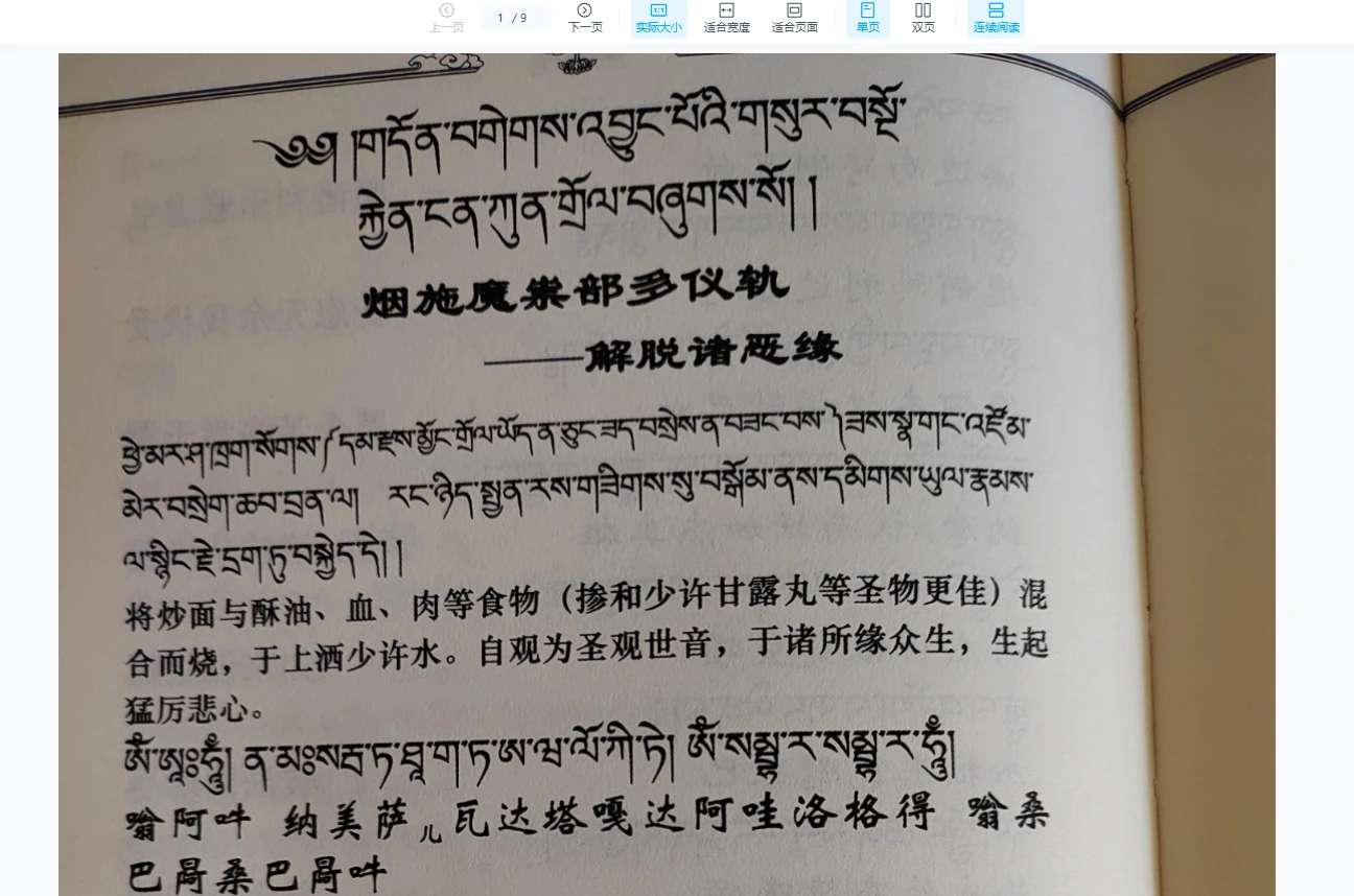 【师兄说二阶】密宗布施法（视频3集）_易经玄学资料网
