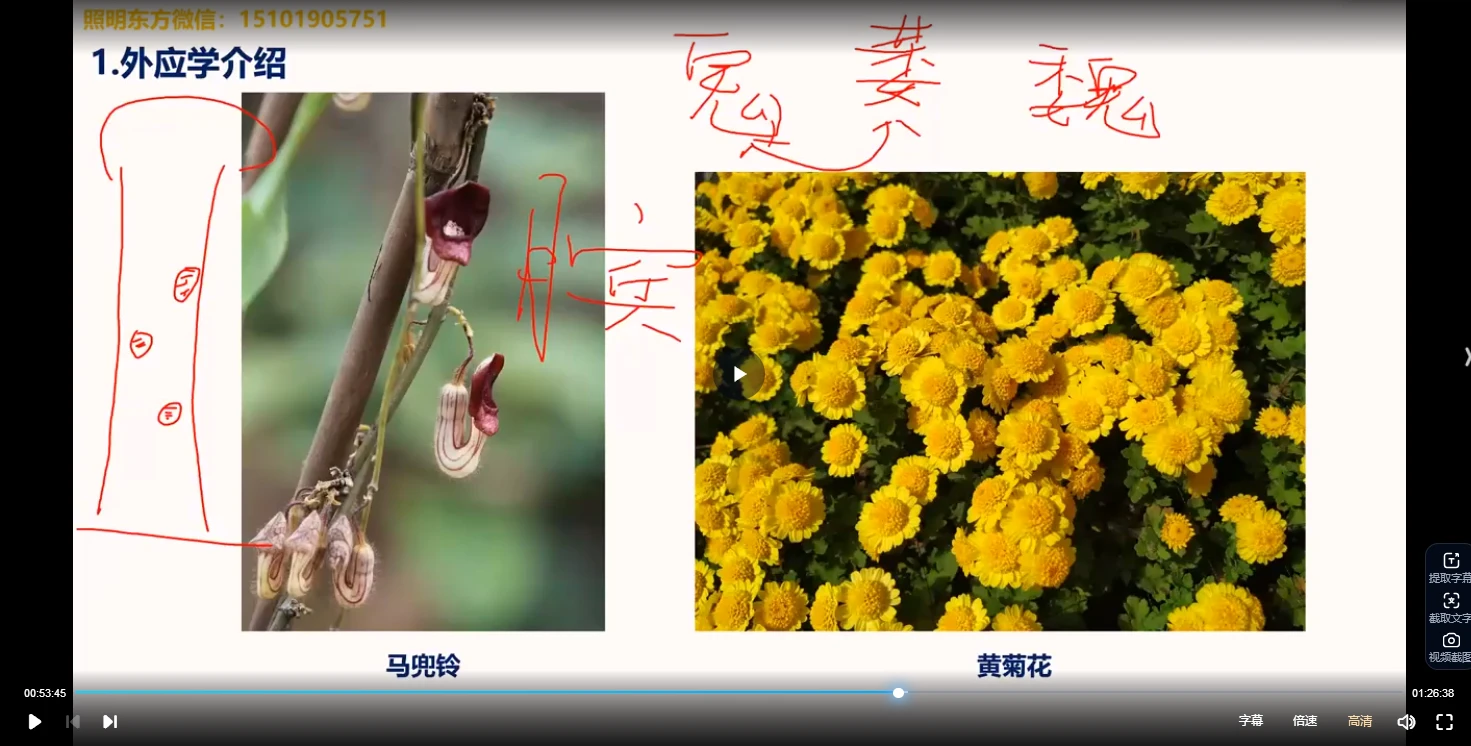 图片[3]_照明居士外应学初级课程（视频10集）_易经玄学资料网