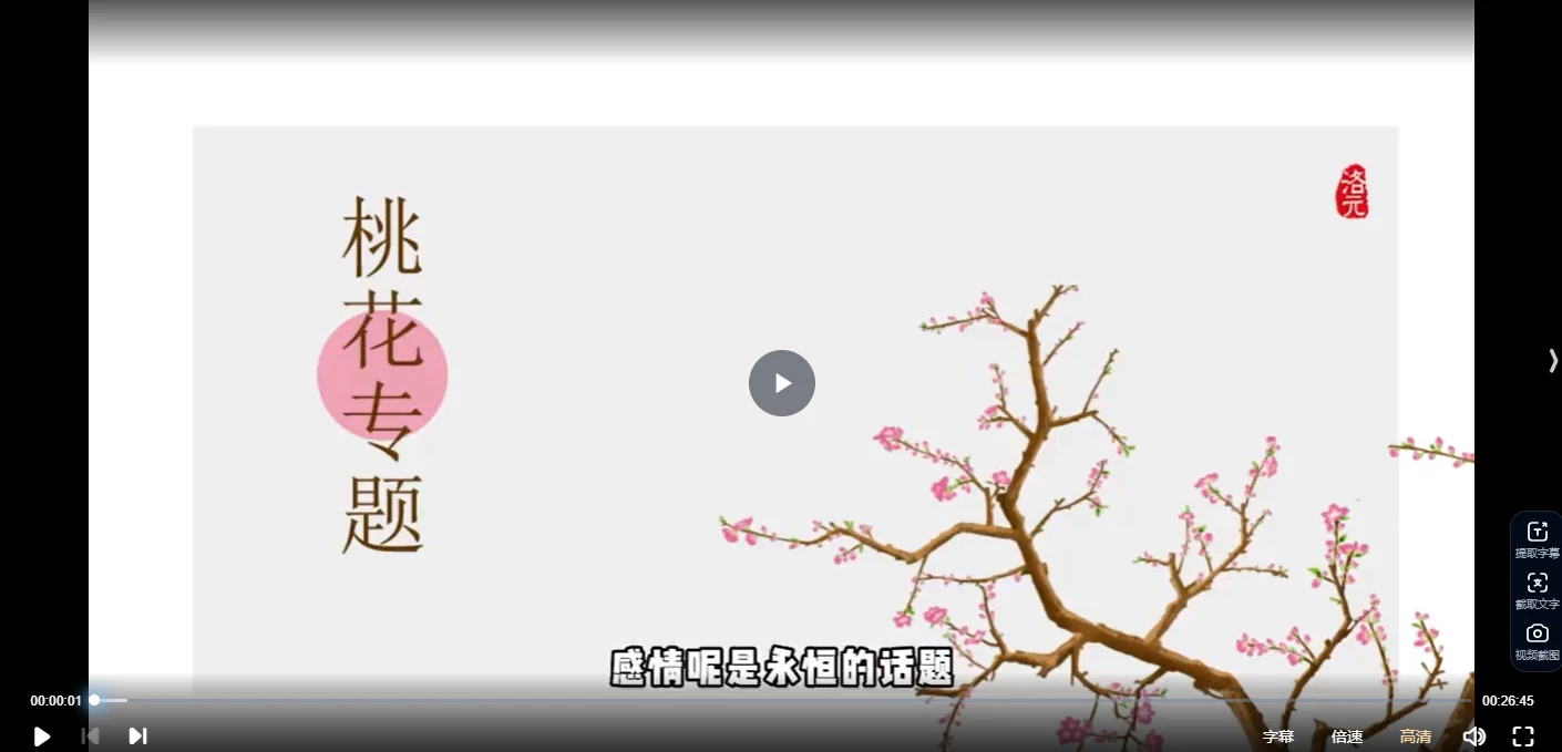 【洛元】依婷系紫微斗数感情专题课（视频5集）_易经玄学资料网