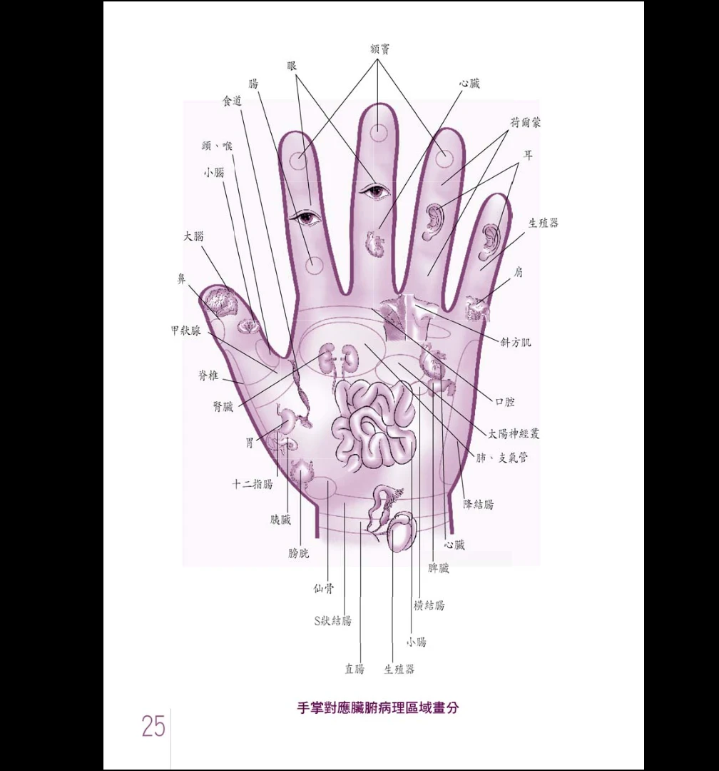 图片[10]_杜易峰《手相开运200问性格密码一手抓》PDF电子书（253页）_易经玄学资料网