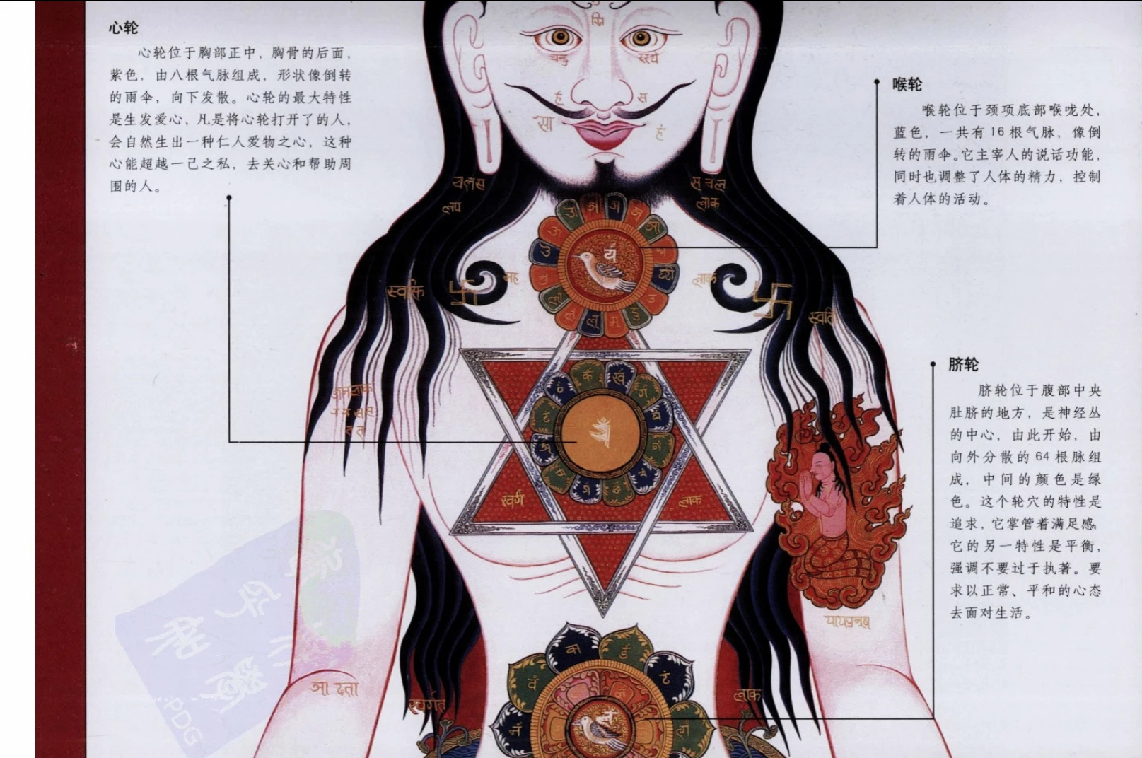 图片[5]_图解藏密绰火蝉修法+图解藏密财神法+图解藏密修持法（3册PDF合集）_易经玄学资料网
