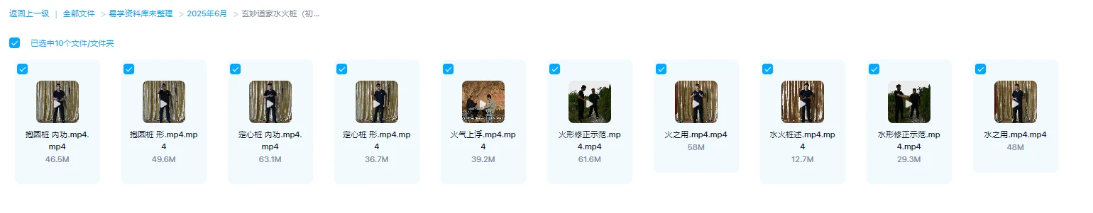 图片[1]_玄妙道家水火桩初级（视频10集）_易经玄学资料网
