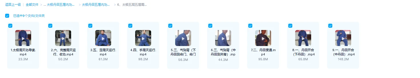图片[7]_归元奇法独罗奇术太极周天丹田功（视频+资料电子书）_易经玄学资料网