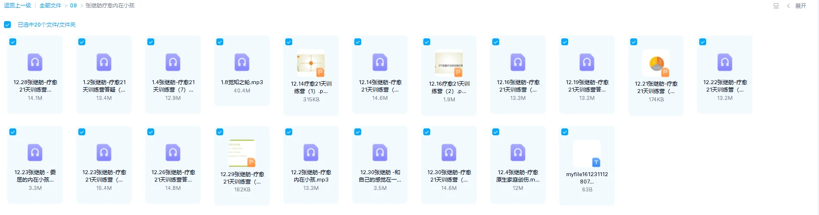 图片[1]_张继舫《疗愈内在小孩》（音频+文档）_易经玄学资料网