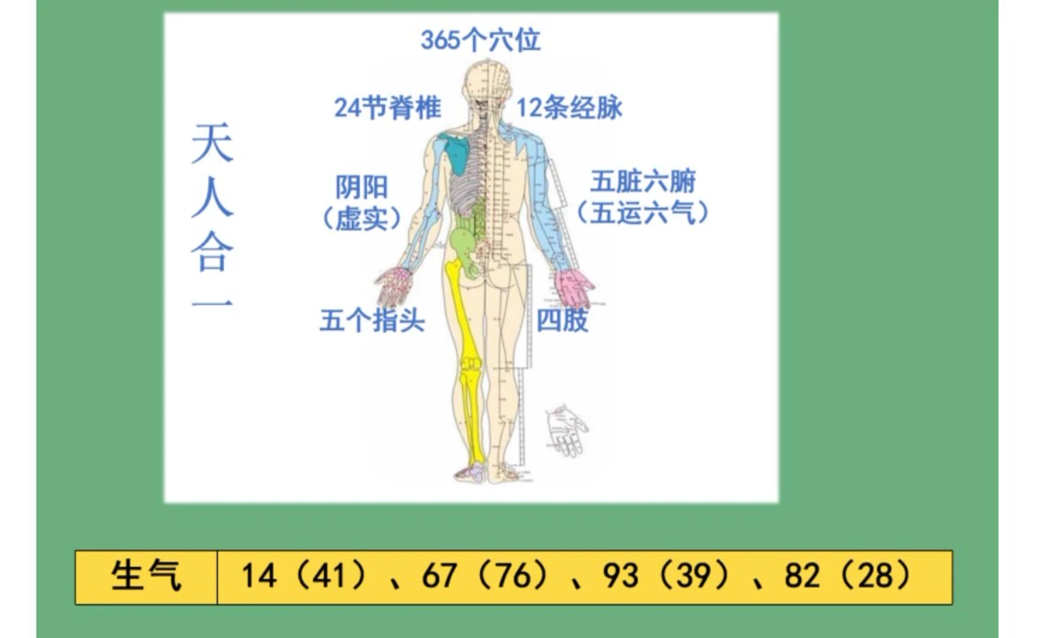 图片[3]_长卿老师心中有数-数字能量课程（视频10集）_易经玄学资料网