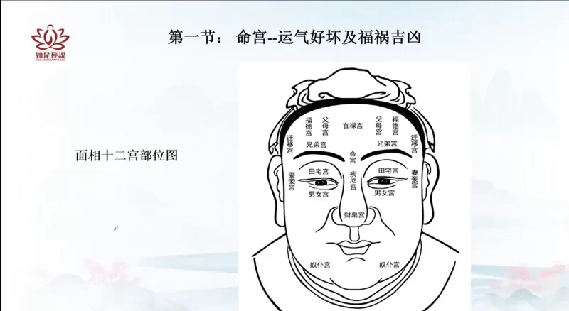 辰南老师《麻衣相术》_易经玄学资料网