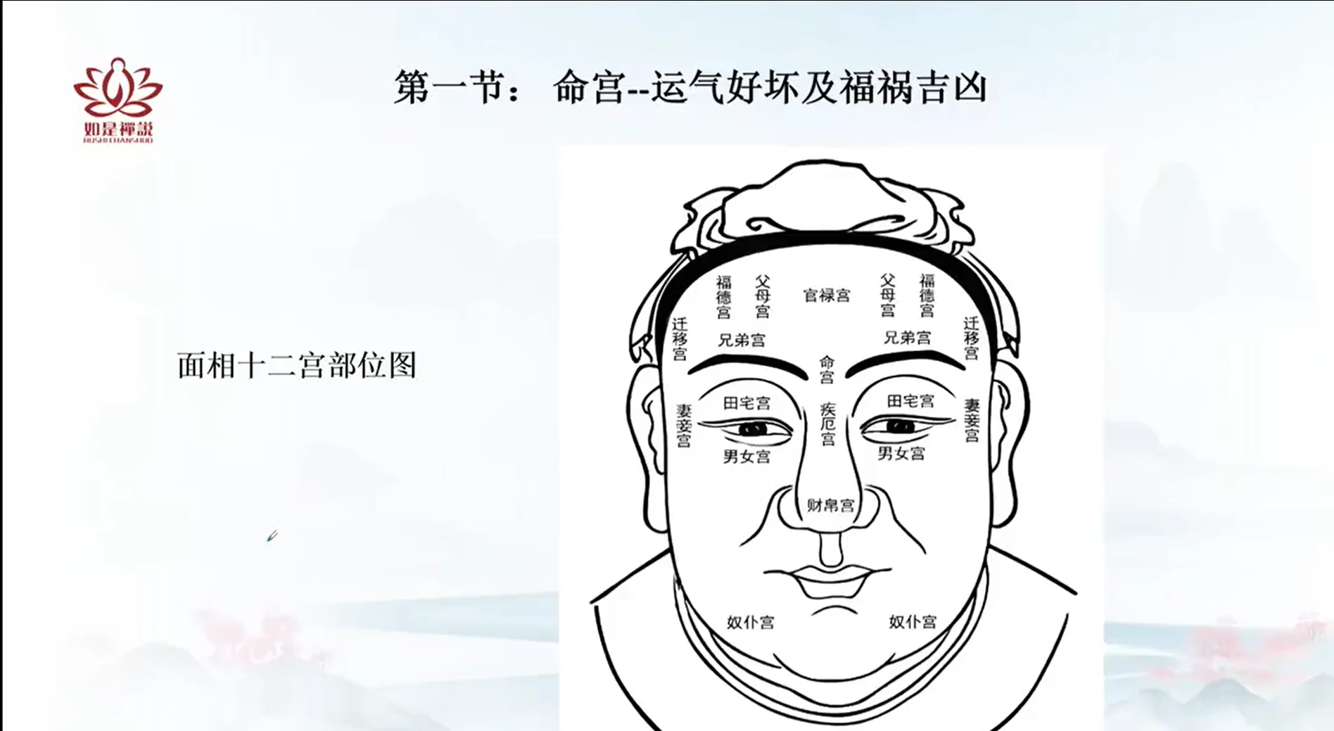 辰南老师《麻衣相术》（视频20集）_易经玄学资料网