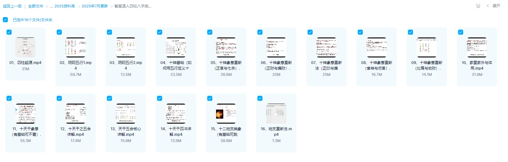 图片[1]_繁星道人《四柱八字底层逻辑》（视频16集）_易经玄学资料网