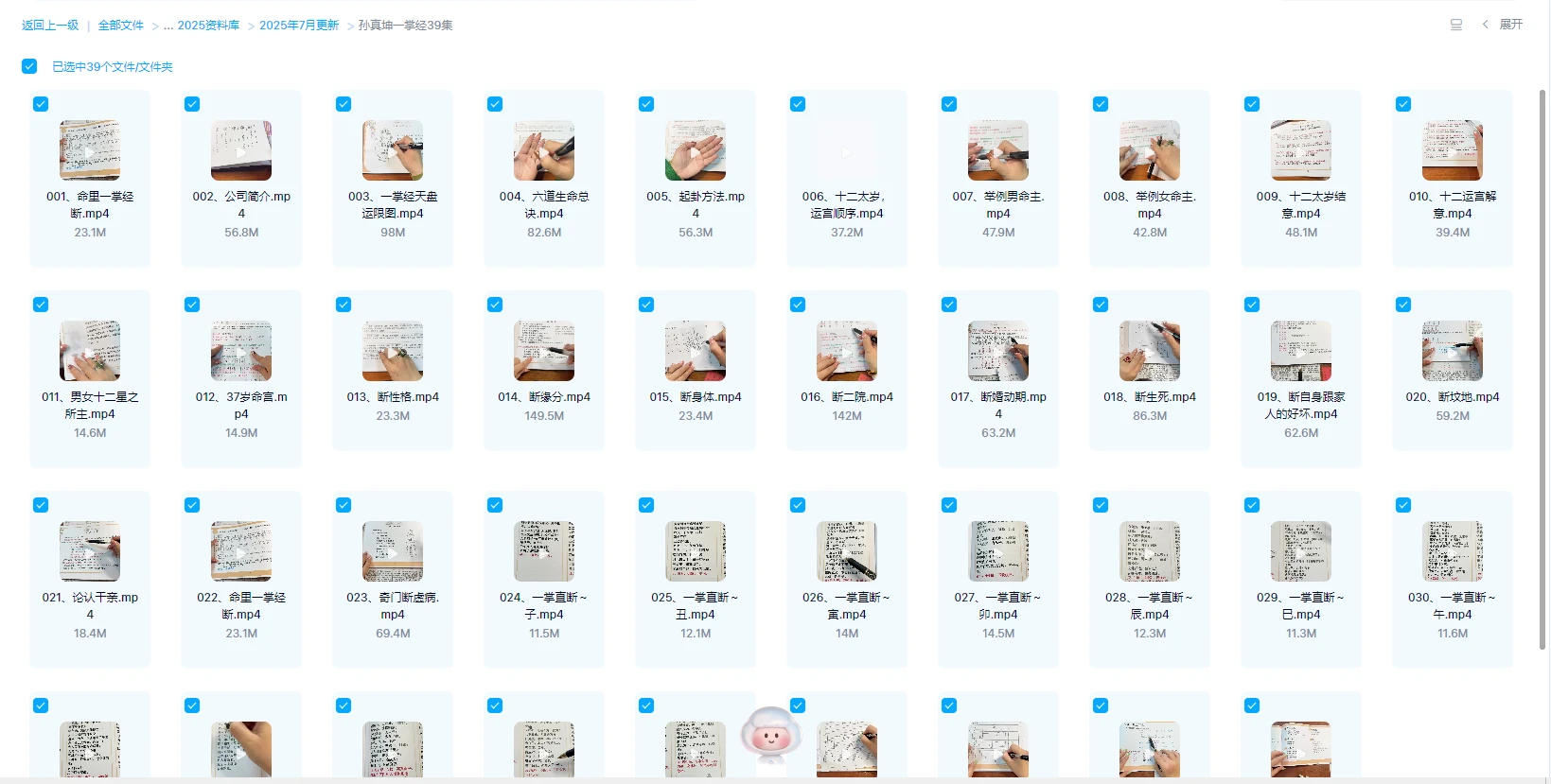 图片[1]_孙真坤一掌经（视频39集）_易经玄学资料网
