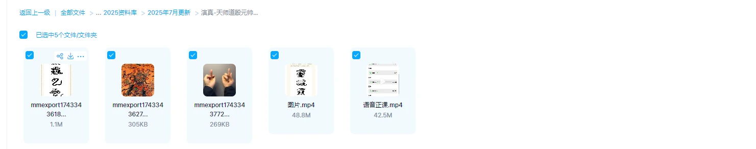 图片[1]_演真-天师道殷元帅秘法（视频2集+图片资料）_易经玄学资料网