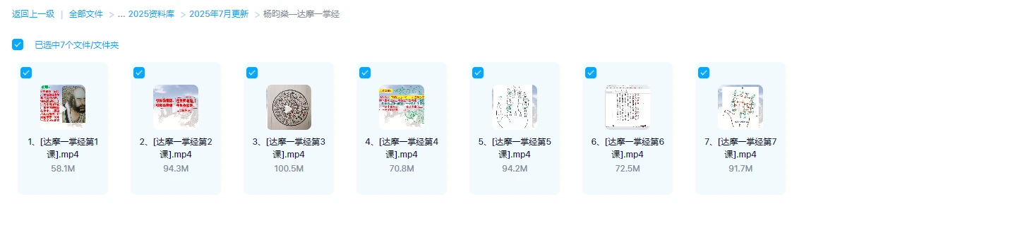 图片[1]_杨昀燊《达摩一掌经》（视频7集）_易经玄学资料网