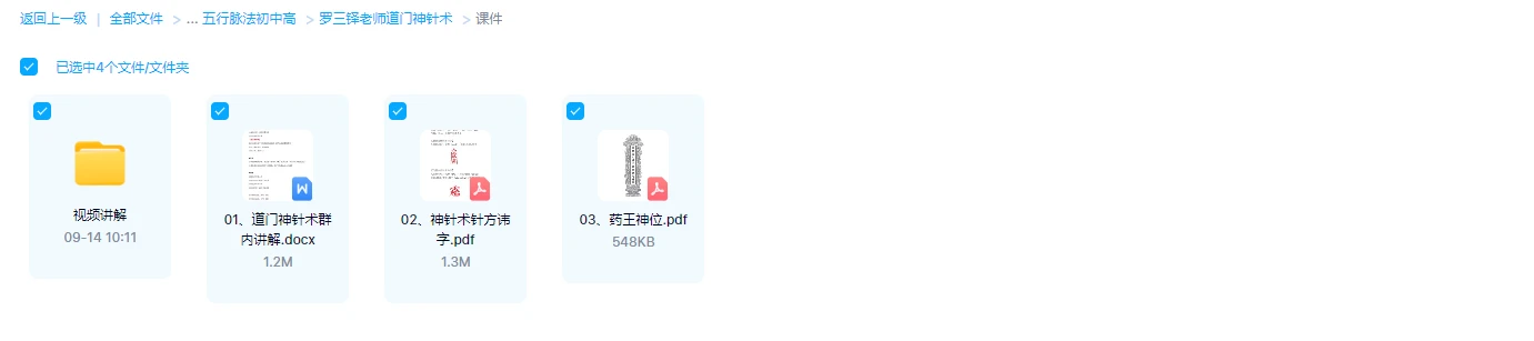 图片[1]_罗三铎老师道门神针术（视频+文档）_易经玄学资料网