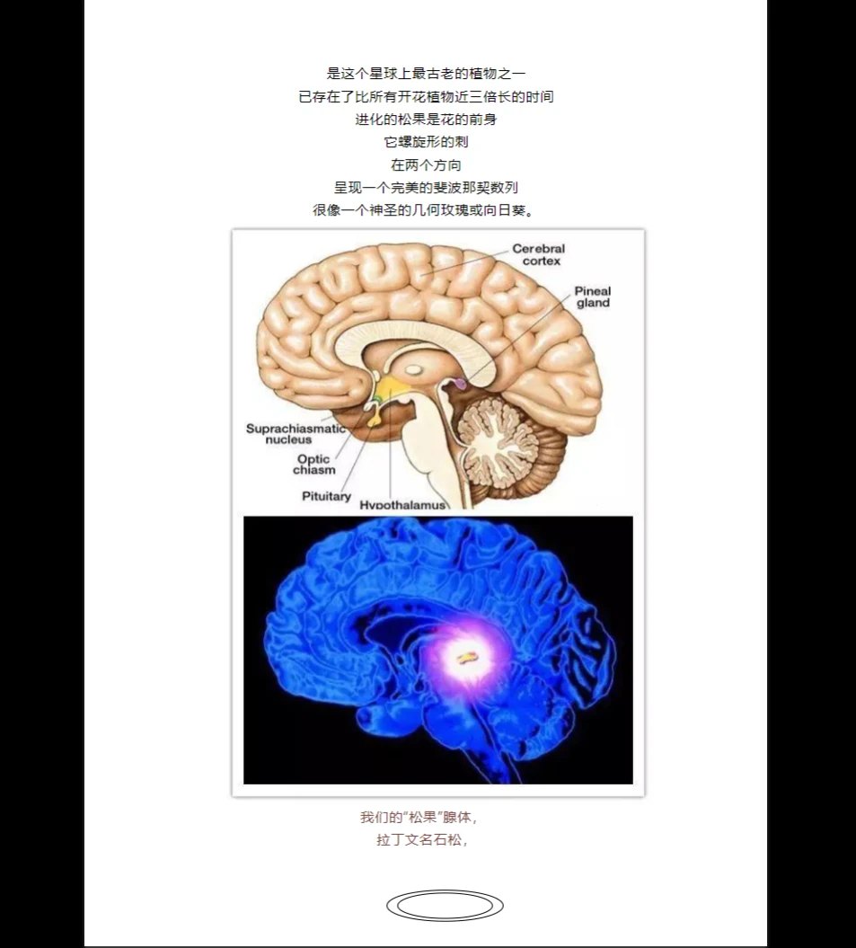图片[9]_玄阳山人《特异功能与超能力》PDF电子书（174页）_易经玄学资料网