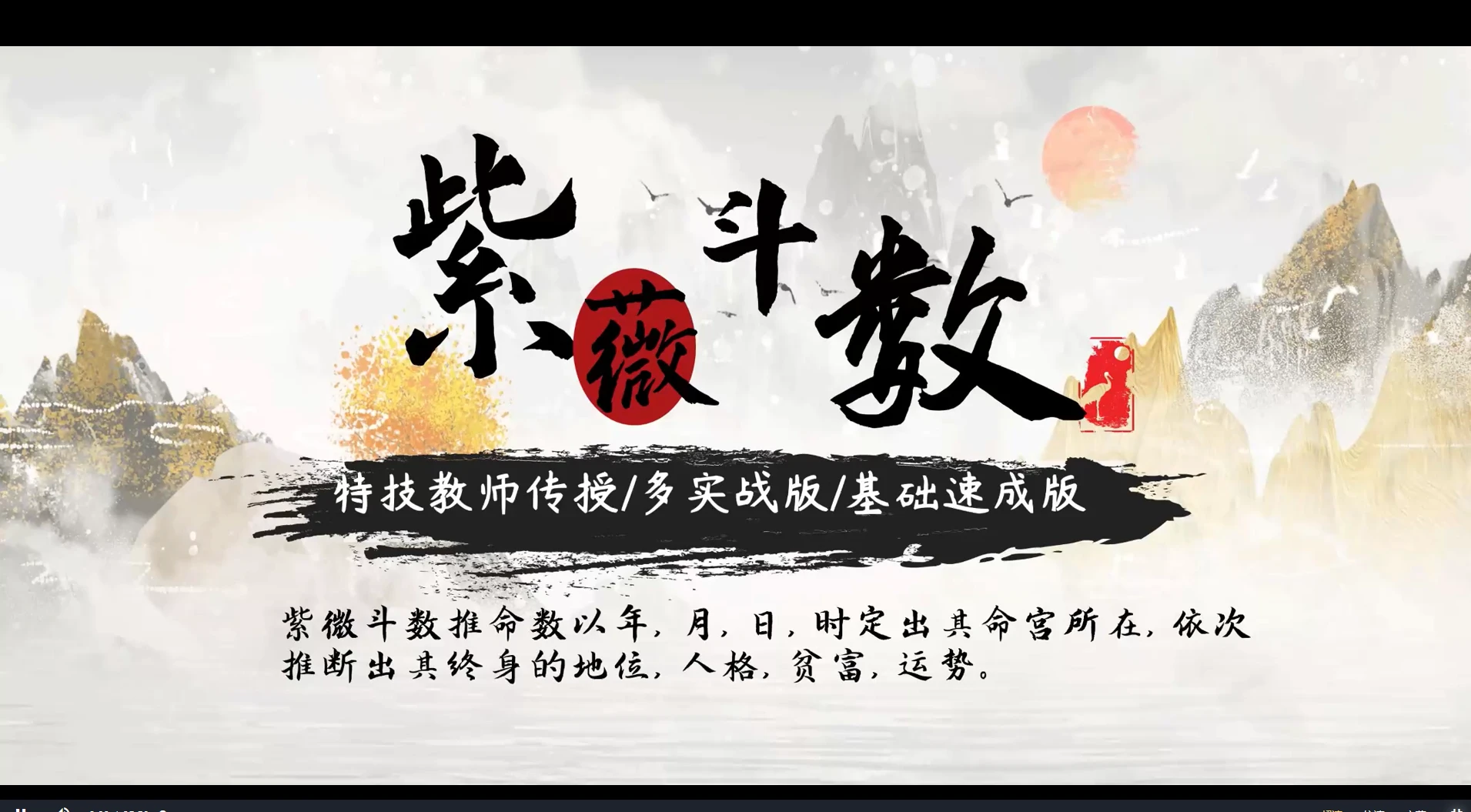 肖有紫微斗数完整课程（基础+实战）（视频22集）_易经玄学资料网