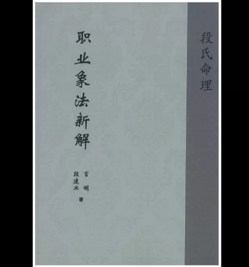 段建业《职业象法新解》PDF电子书_易经玄学资料网