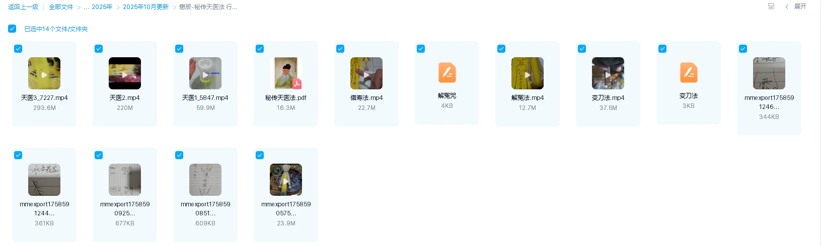 图片[1]_懋辰-秘传天医法 行法科_易经玄学资料网