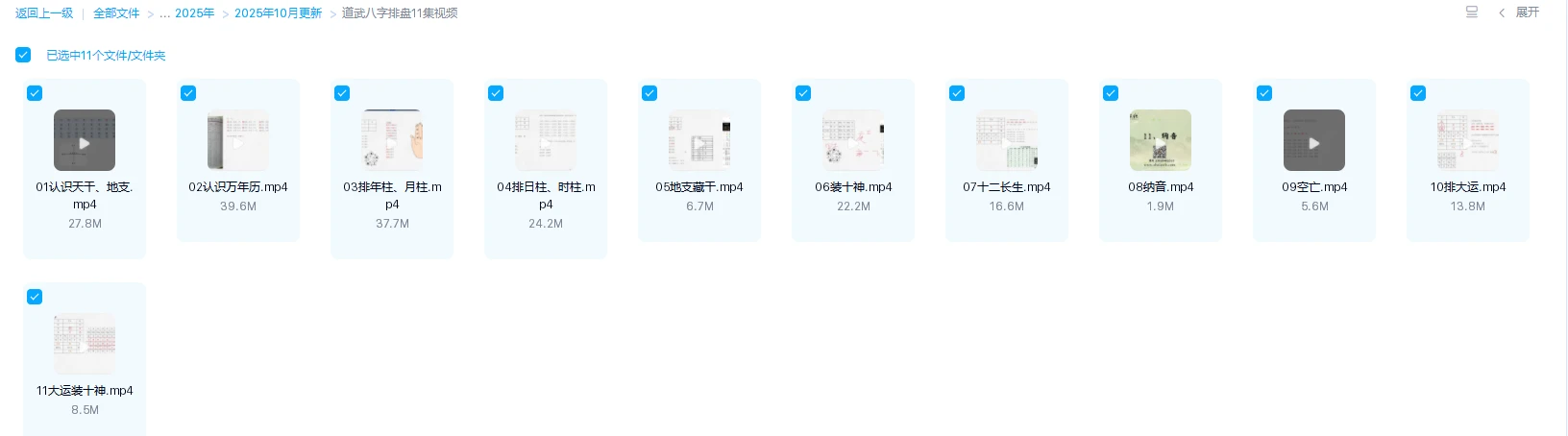 图片[1]_道武八字排盘课程（视频11集）_易经玄学资料网