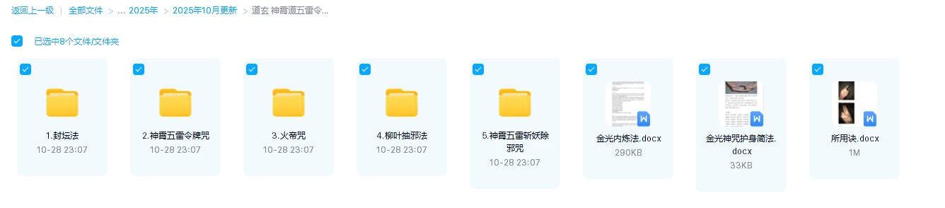 图片[1]_道玄《神霄道五雷令牌咒金光护身所用诀》（视频+音频+课件）_易经玄学资料网