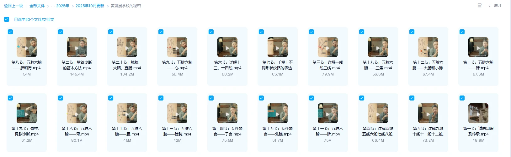 图片[1]_黄凯晟《掌纹的秘密》（视频20集）_易经玄学资料网