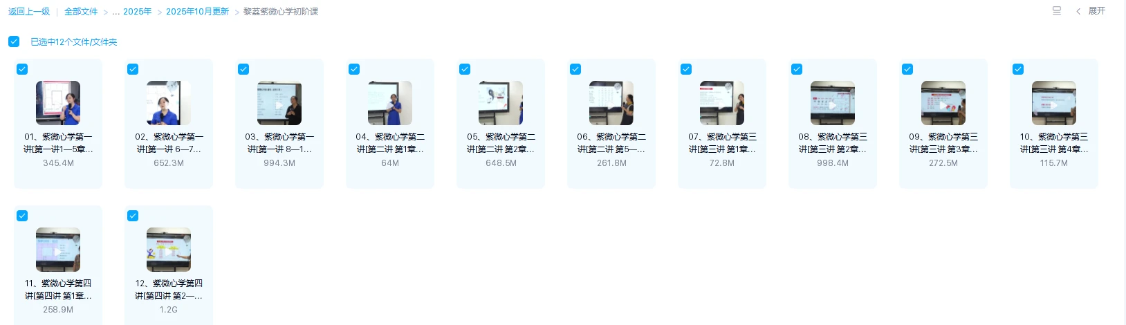 图片[1]_黎荔《紫微心学初阶课》（视频12集）_易经玄学资料网