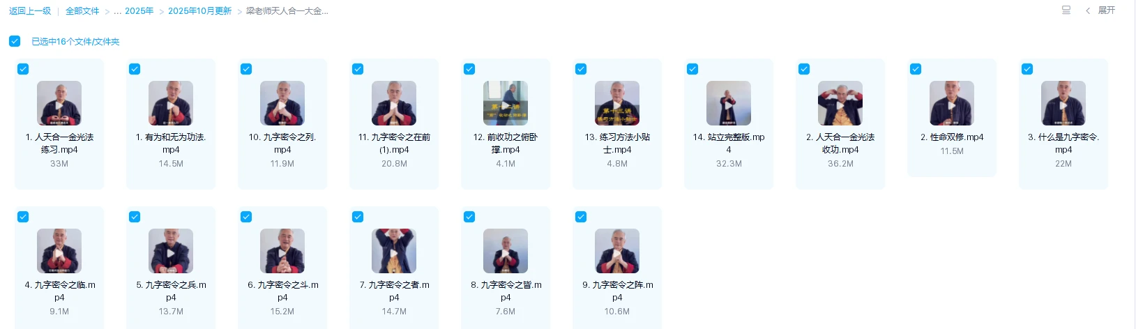 图片[1]_梁老师《天人合一大金光法及九字密令》视频16集_易经玄学资料网