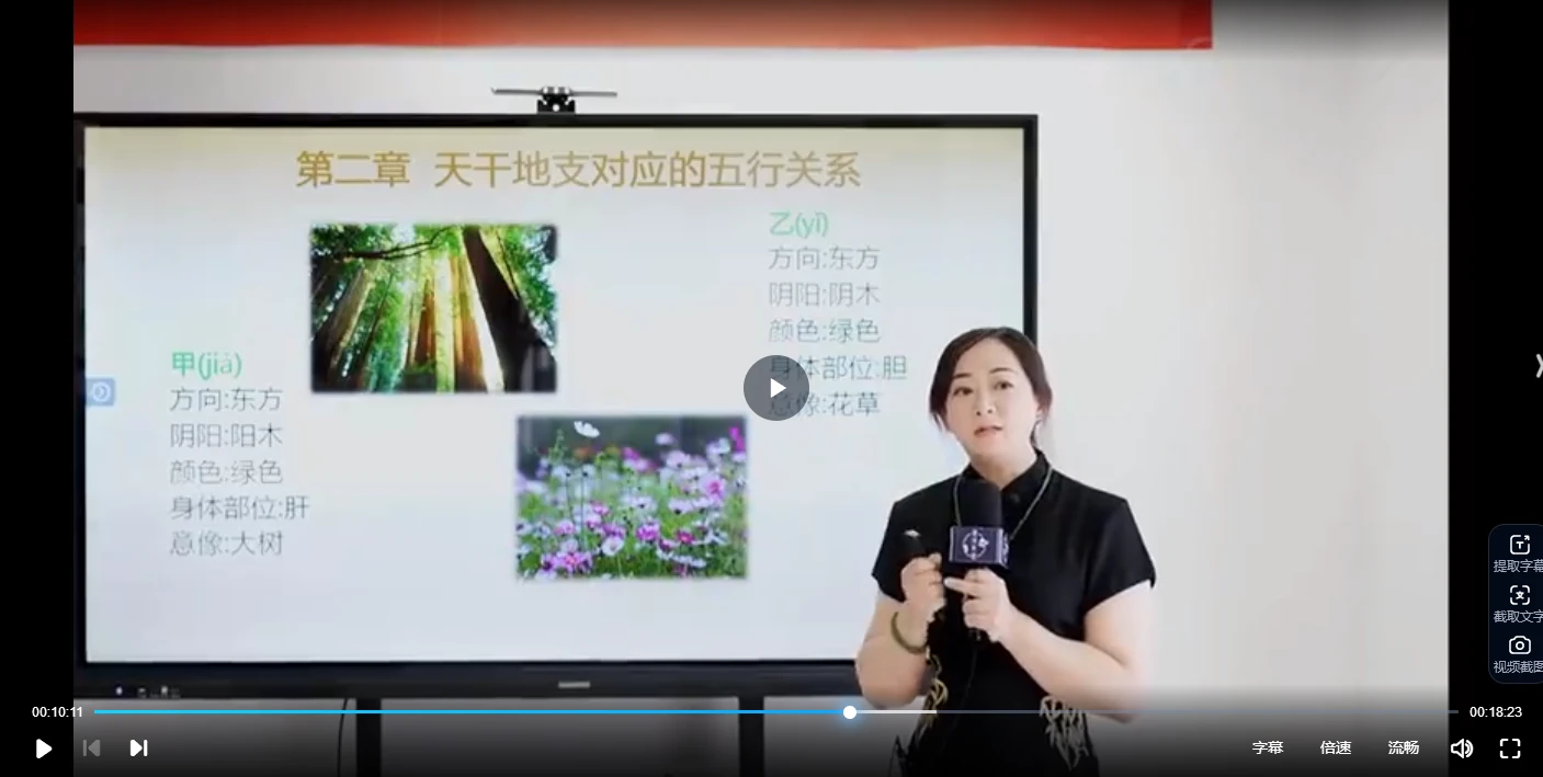 图片[3]_黎荔-子平易学初阶课（视频21集）_易经玄学资料网