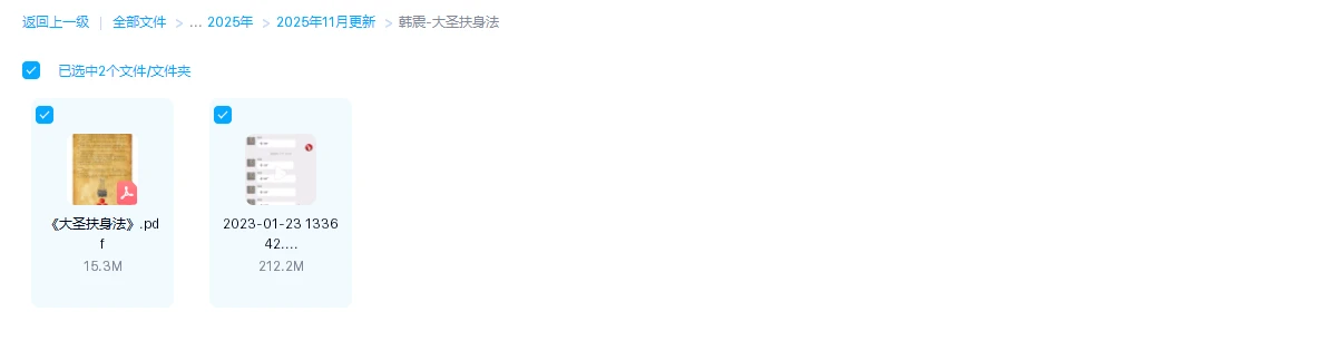 图片[1]_韩震《大圣扶身法》（视频+文档）_易经玄学资料网