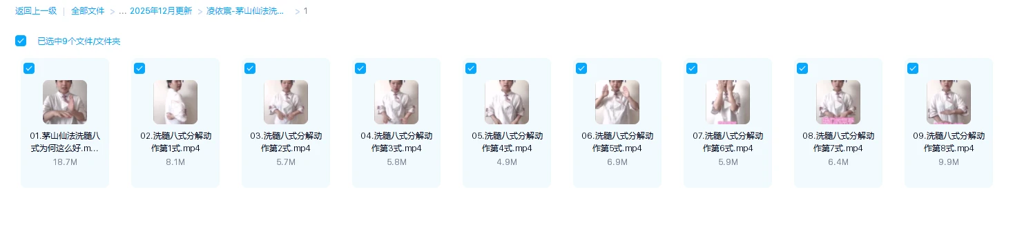 图片[1]_凌依宸《茅山仙法洗髓八式》（视频9集）_易经玄学资料网