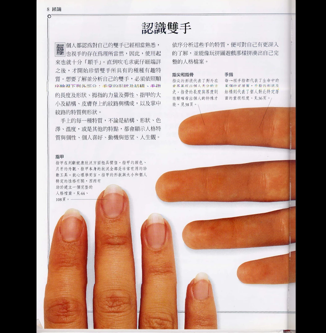 图片[4]_瑞德《手相学习百科》PDF电子书（96页）_易经玄学资料网