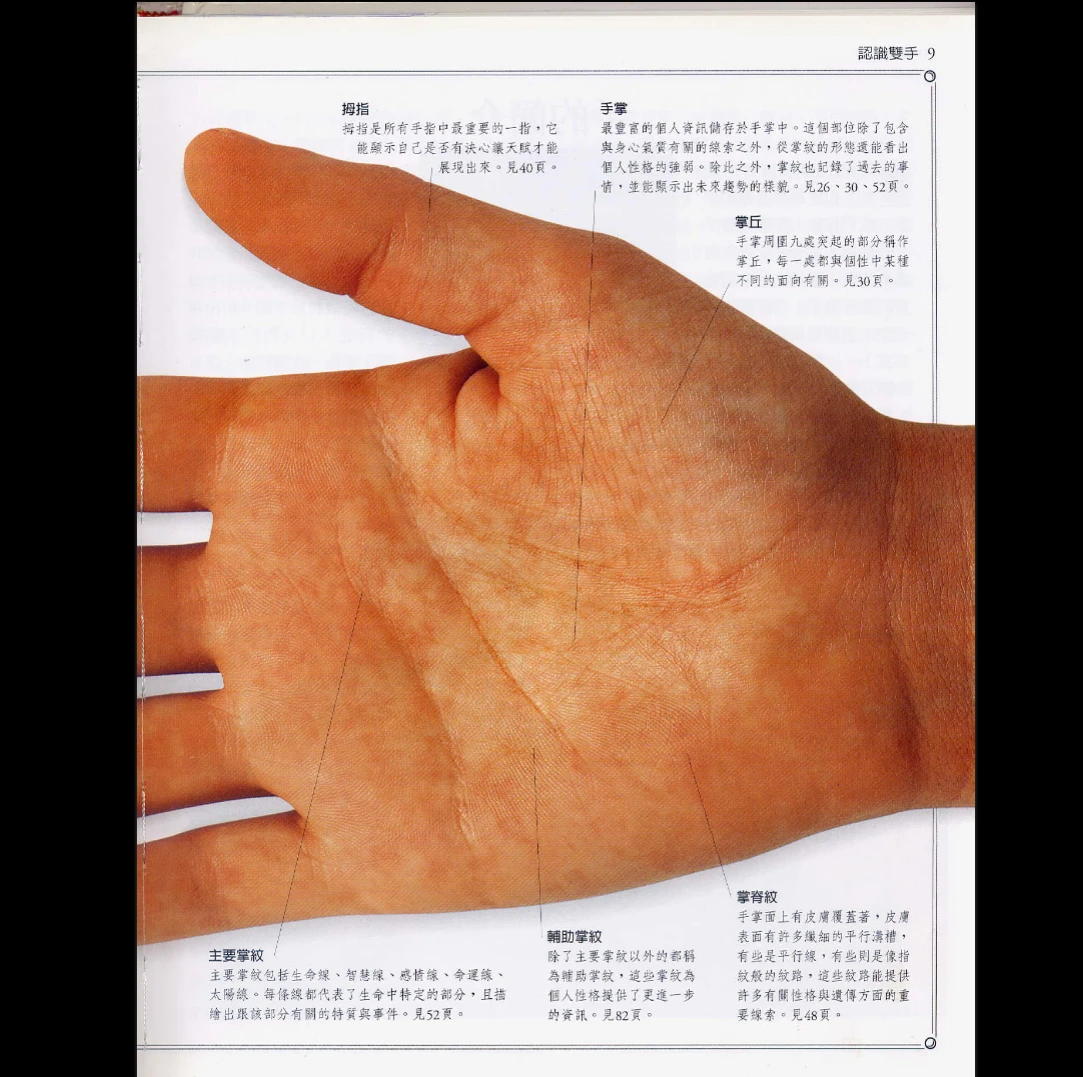 图片[5]_瑞德《手相学习百科》PDF电子书（96页）_易经玄学资料网