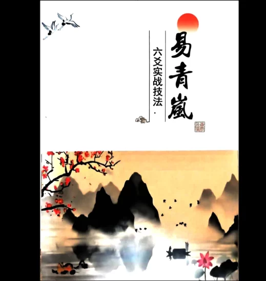 易青岚《六爻实战技法153页》PDF电子书_易经玄学资料网