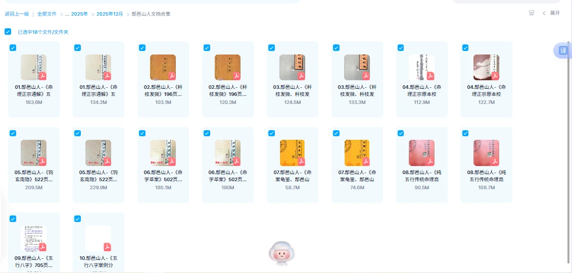 20251226132748858 image