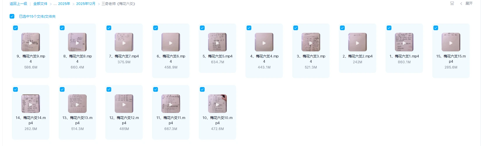 20251227124944793 image