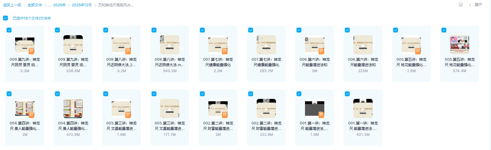 20251228171807601 image