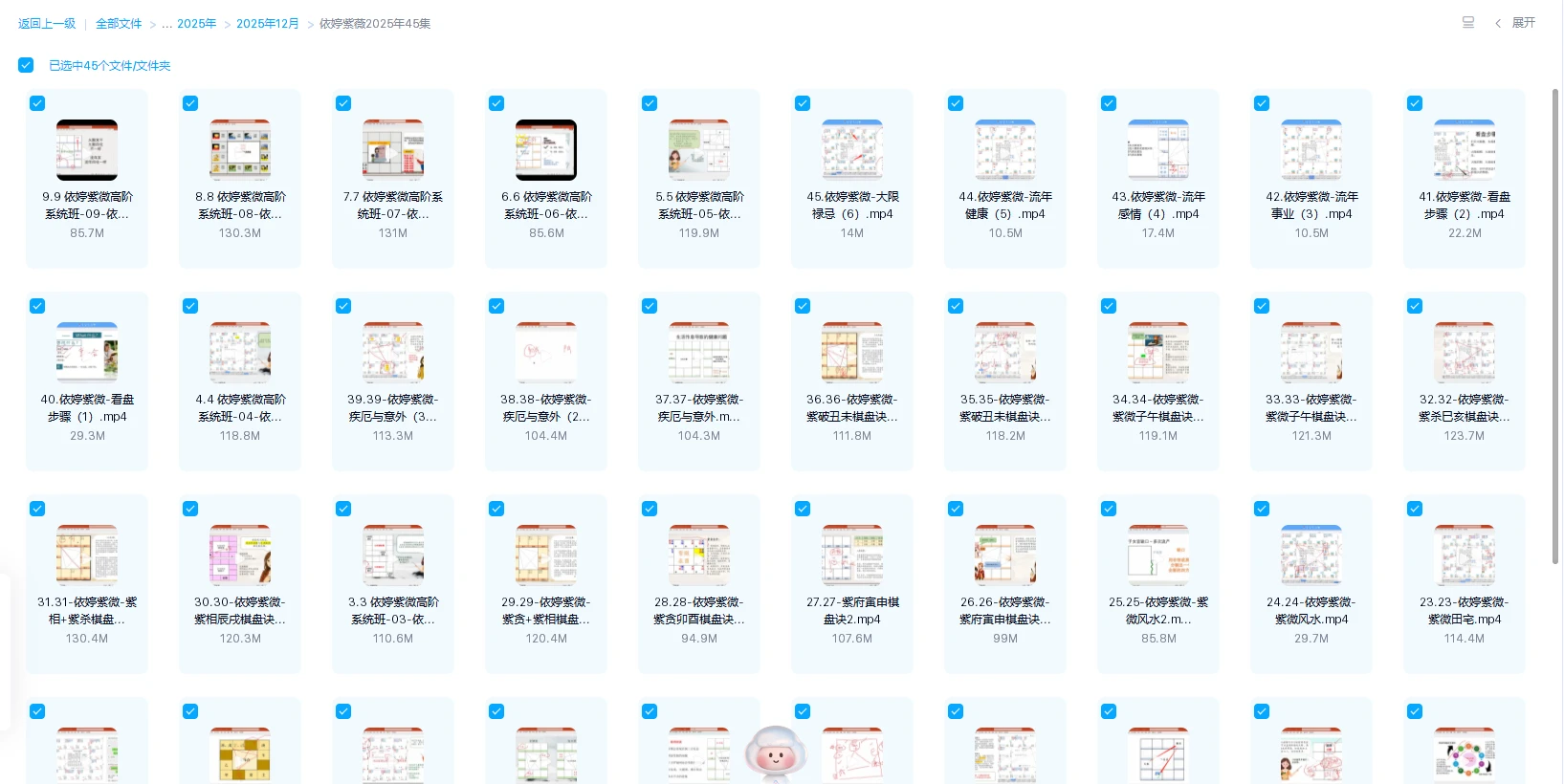 20251229224920968 image