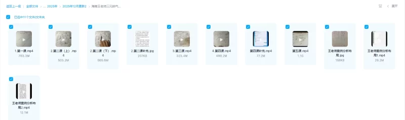 海南王老师《三元纳气班五课全集+案例》_易经玄学资料网