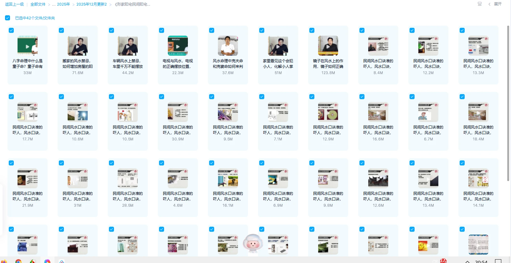 20260111205458498 image