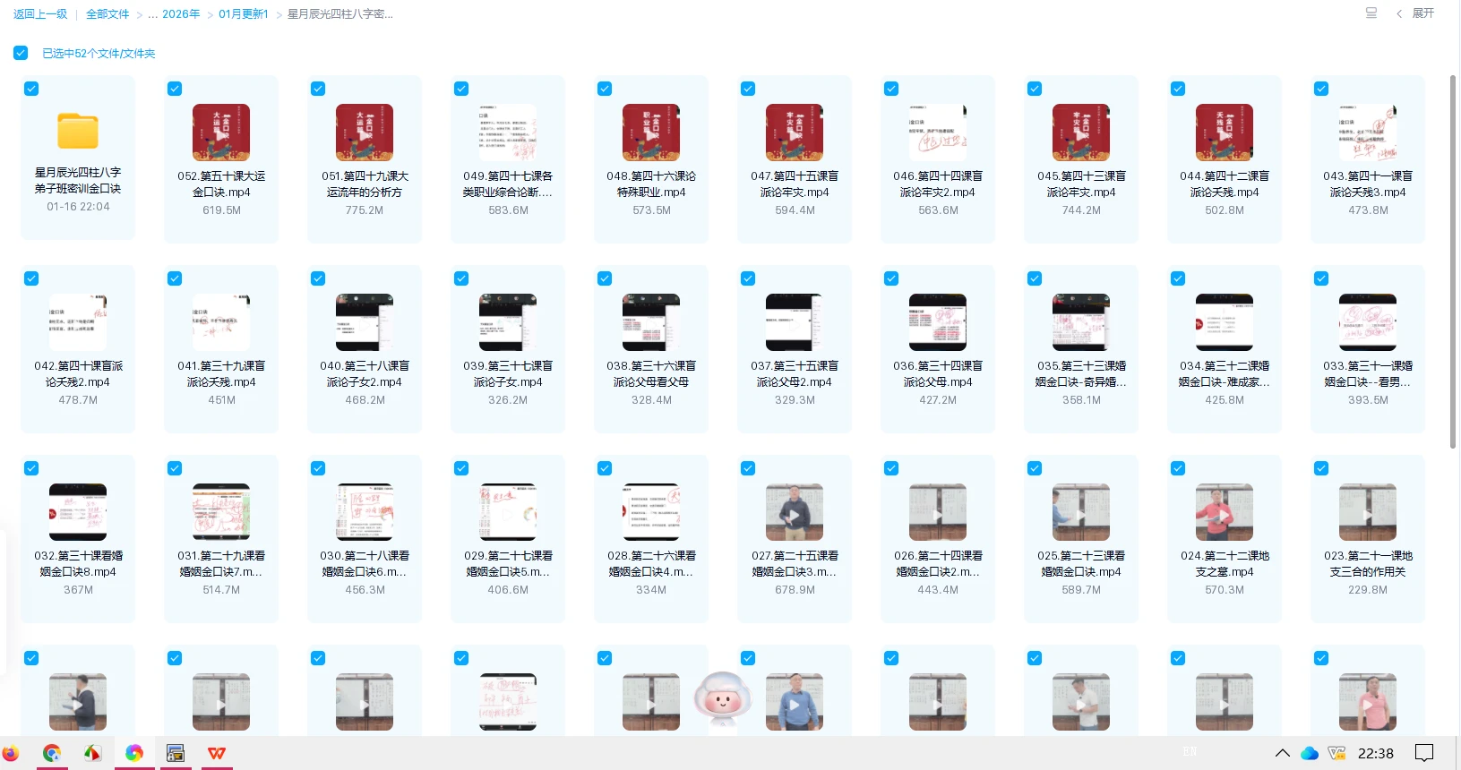 20260121223838800 image