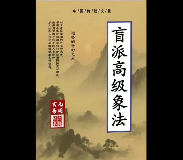 《盲派高级象法》PDF电子书_易经玄学资料网