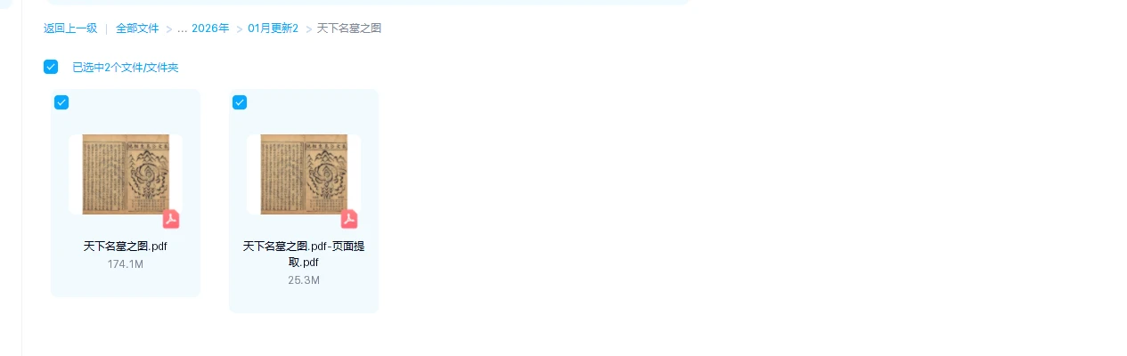 20260129212647960 image