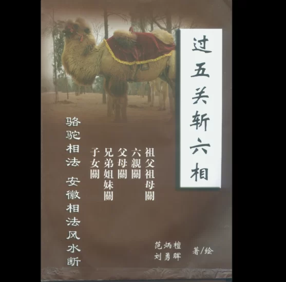 范炳檀刘勇晖-过五关斩六相PDF电子书_易经玄学资料网