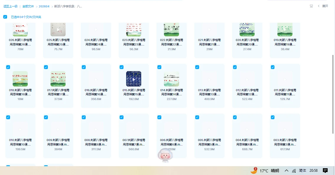 20260214205822660 image