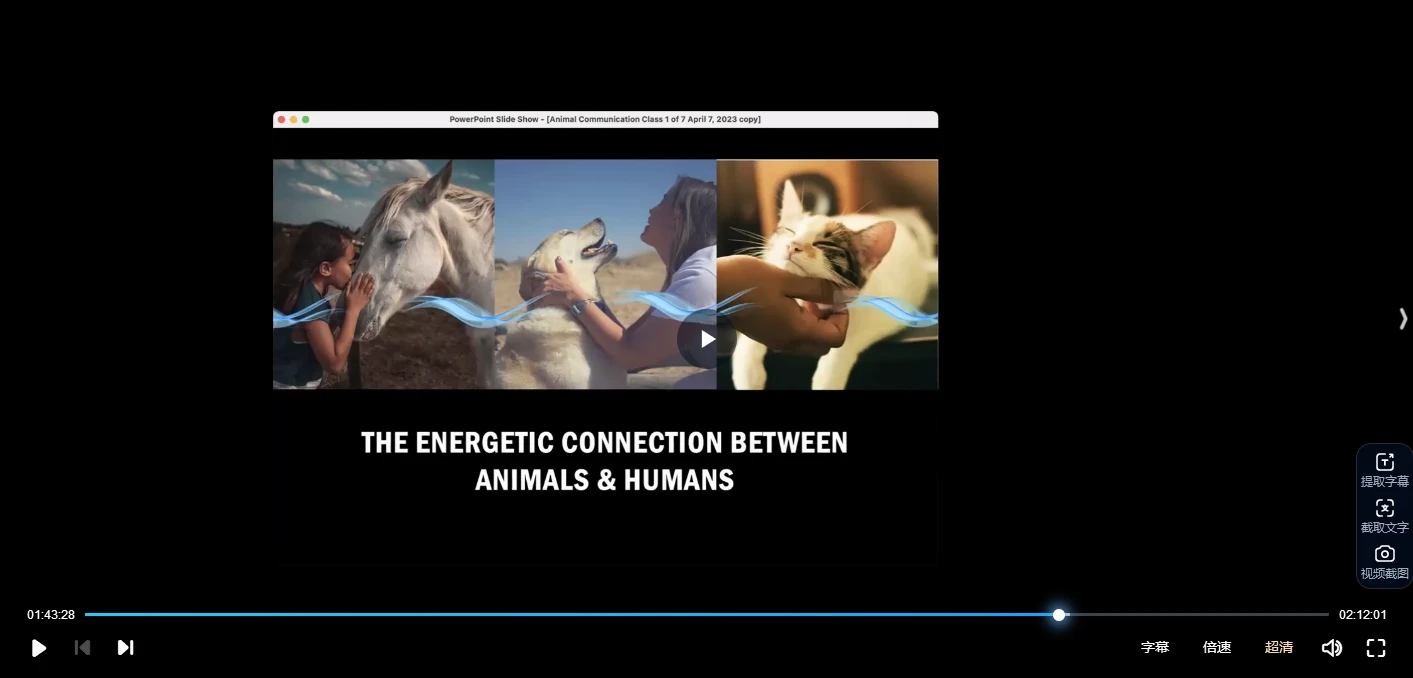 20260307191329403 image