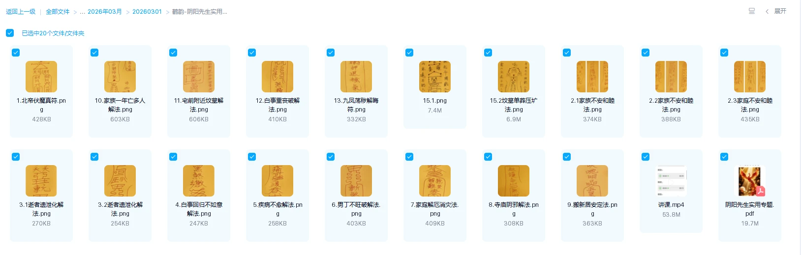 20260312194643436 image